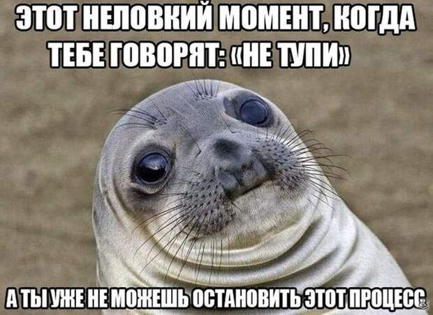Нескучная ерунда 29
