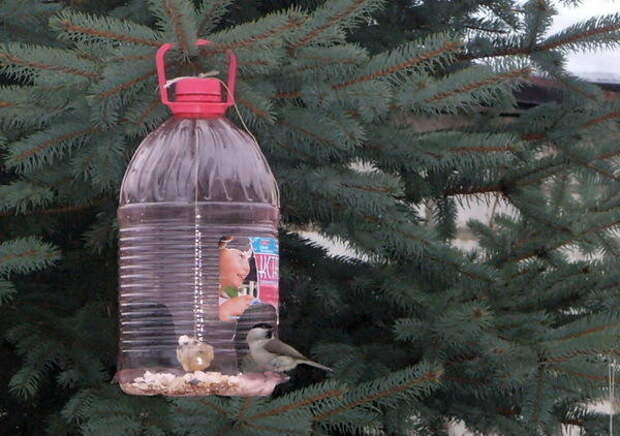 кормушка для птиц из пластиковых бутылок, фото с сайта abekker.ru