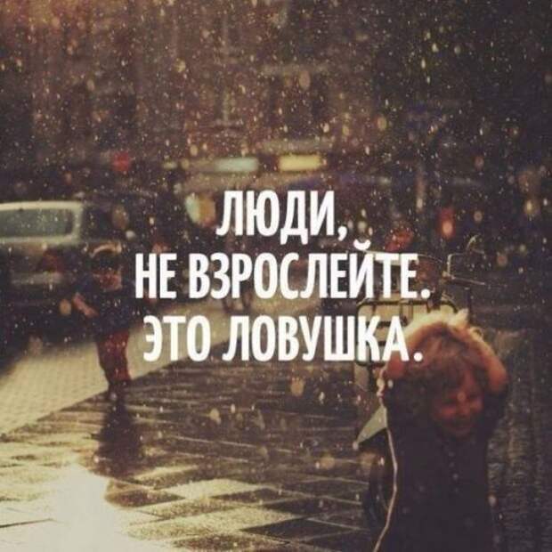 Пачка новых фото-приколов