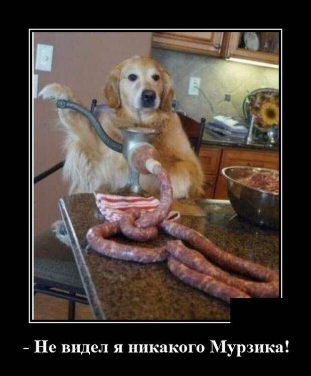 demotivatory-demotivator-smeshnye-demotivatory-demotivator-so-smyslom