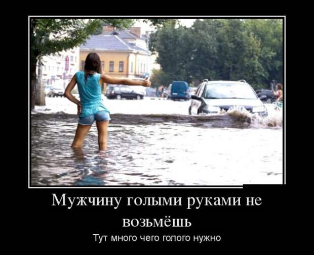 Демотиваторы (30 фото) Демотиваторы (30 фото)