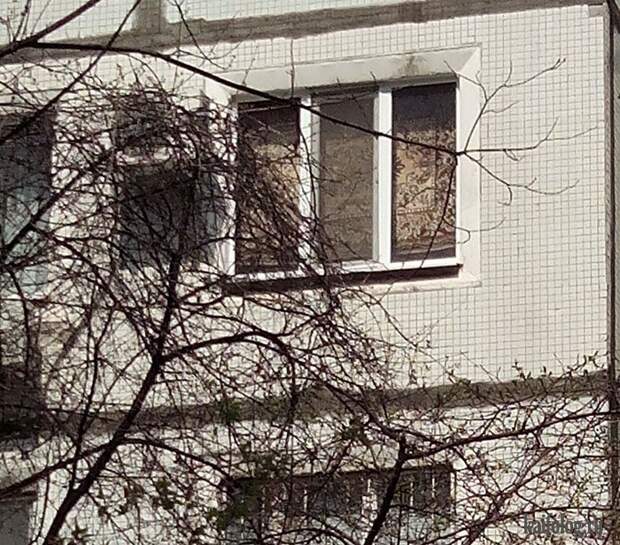 Приколы про ковры (45 фото)