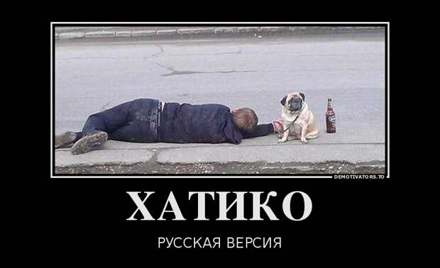 Подборка  демотиваторов демотиваторы, юмор