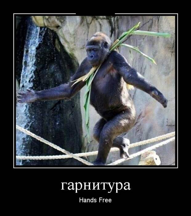 Демотиваторы (30 фото)