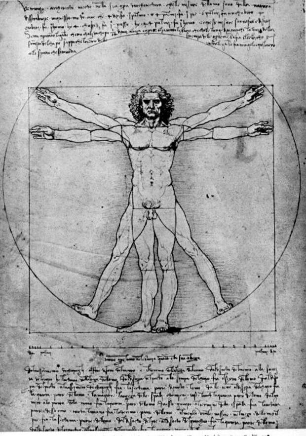Пропорции человеческой фигуры (Витрувианский человек) - Леонардо да Винчи (1492)