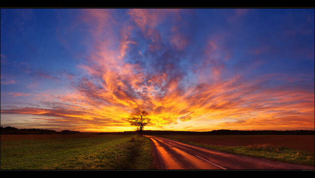 de5ecf81b78c67b4b6a73a824a5fc127_d5k9r74_by_realitydream-d5ybifs (700x396, 326Kb)