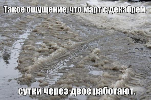 Картинки, юмор, приколы