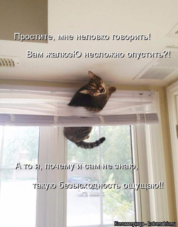 1433454508_24 (550x700, 281Kb)