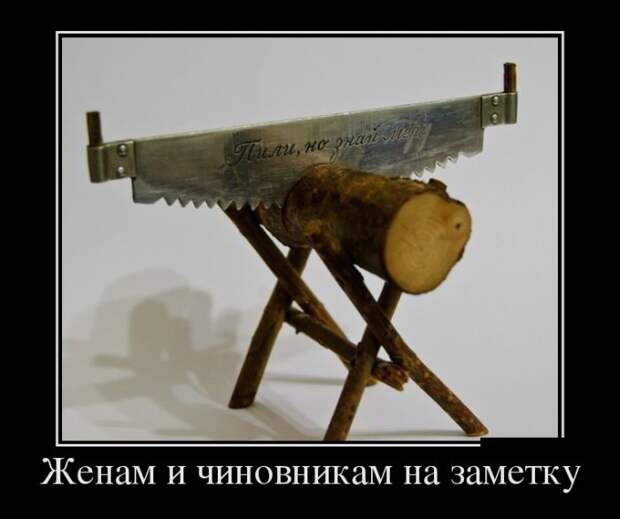 Демотиваторы (30 фото)