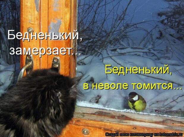 Мысли вслух :)