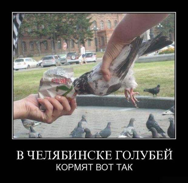 Сборник моих демотиваторов демотиватор, сборник