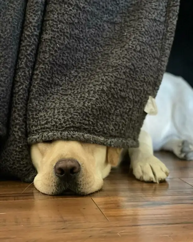 ?