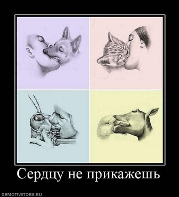 Демотиваторы, смешные приколы.