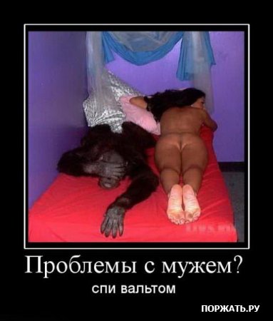 демотиваторы приколы