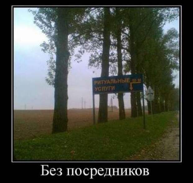 Фотографии с прикольными подписями, новые демотиваторы.
