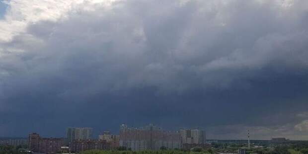 Желтый уровень опасности: как усиление ветра до 15 м/с повлияло на жизнь Москвы