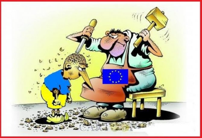 Украинская национальная идея: в поисках мозга Яценюка Украинская национальная идея: в поисках мозга Яценюка