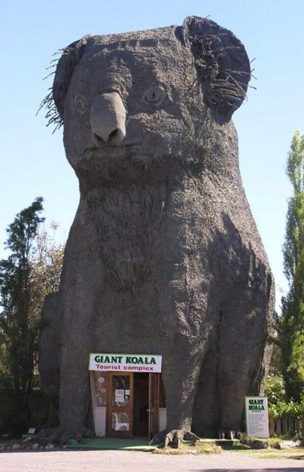 Доза позитива в фото-приколах (42 шт)