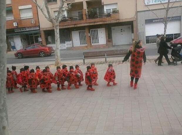 Картинки прикольные и настроение будет хорошим.