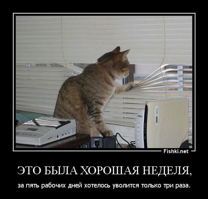 Демотиваторы демотиваторы, прикол, смех, юмор