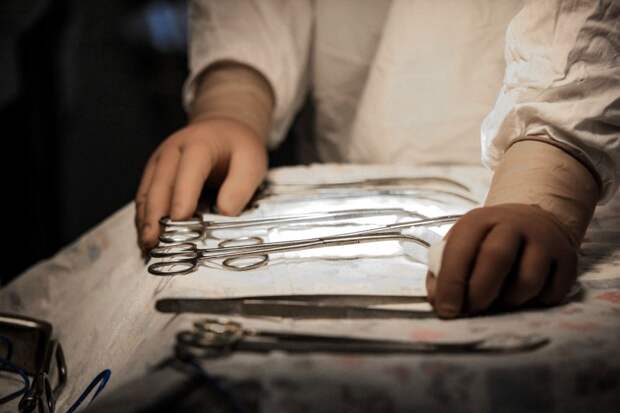 Трансплантация почки в России стала доступна по полису ОМС