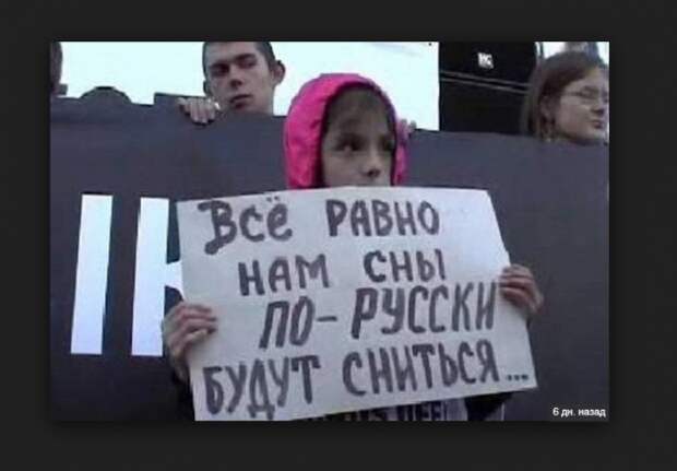 Про требования «уникального» прибалтийского языка Про требования «уникального» прибалтийского языка