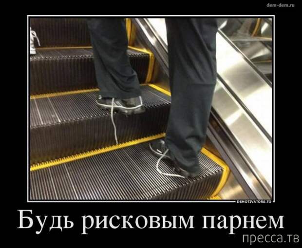 Демотиваторы (30 фото) Демотиваторы (30 фото)