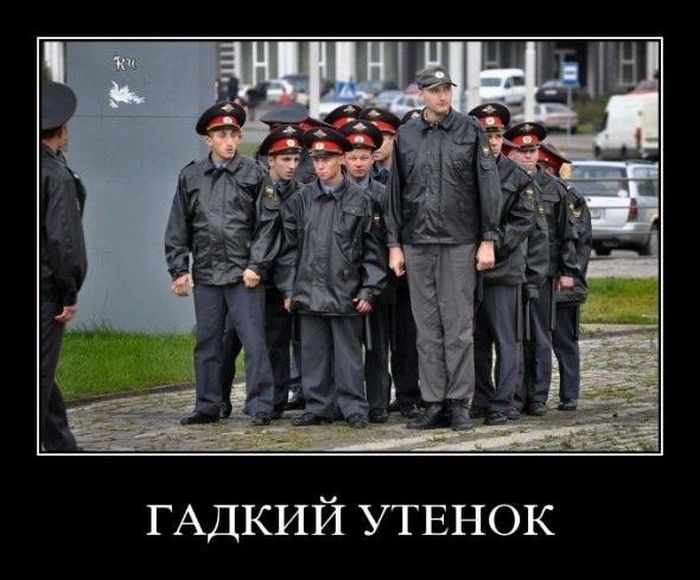 Демотиваторы (30 фото)