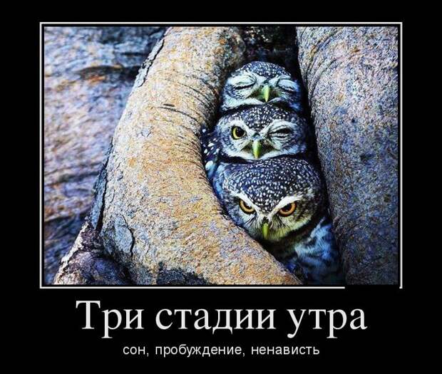Подборка демотиваторов демотиваторы, юмор