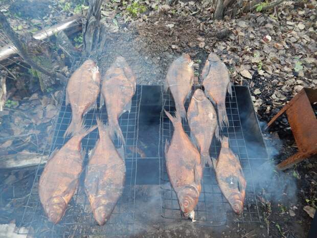 Мой рецепт копченой рыбы Мой рецепт копченой рыбы копчение, отдых, рыба
