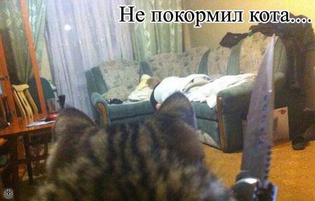 Фотоказусы и фотоприколы 24