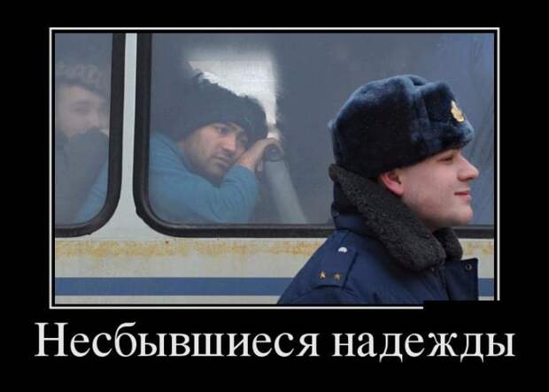 Подборка демотиваторов  демотиватор, юмор