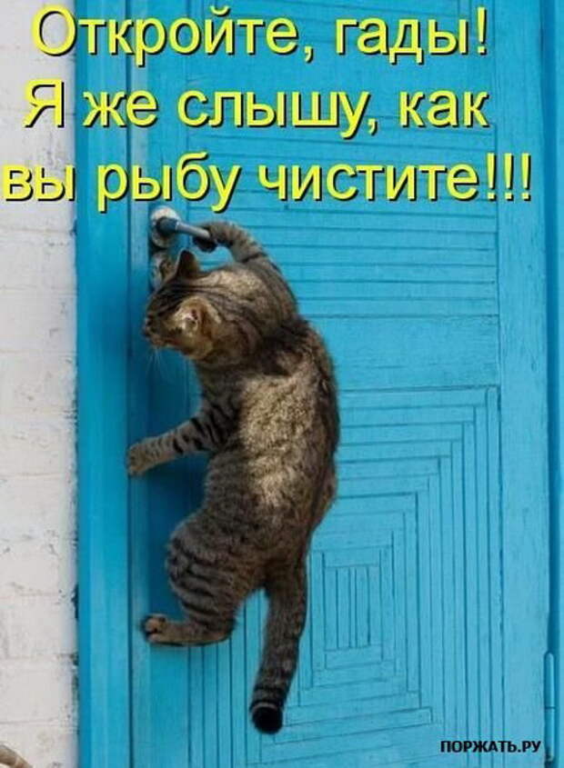 Картинки Прикольные :) (24)