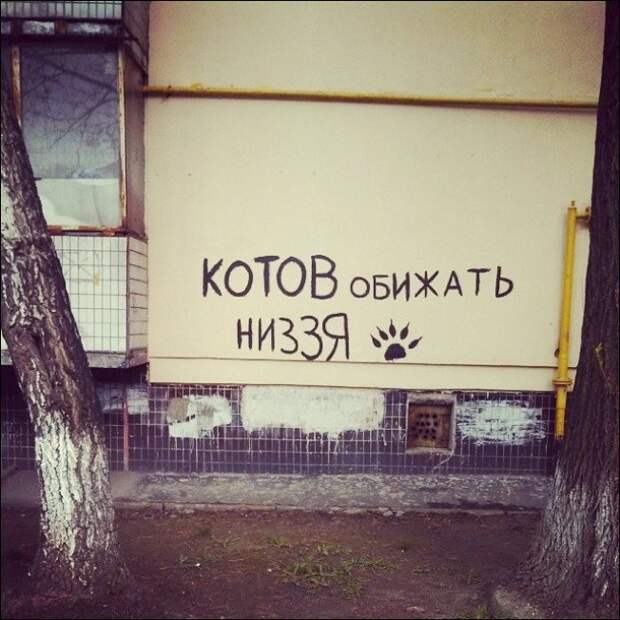 Прикольные надписи и объявления  надписи, объявления, юмор