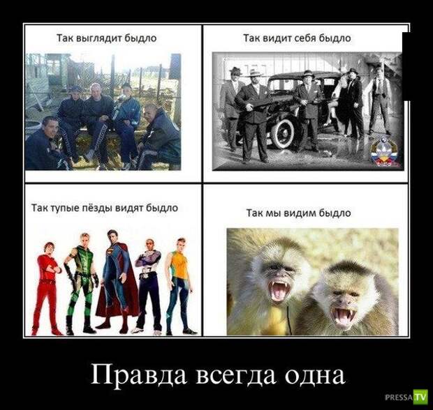Демотиваторы на июль, часть 14 (29 фото) Демотиваторы на июль, часть 14 (29 фото)