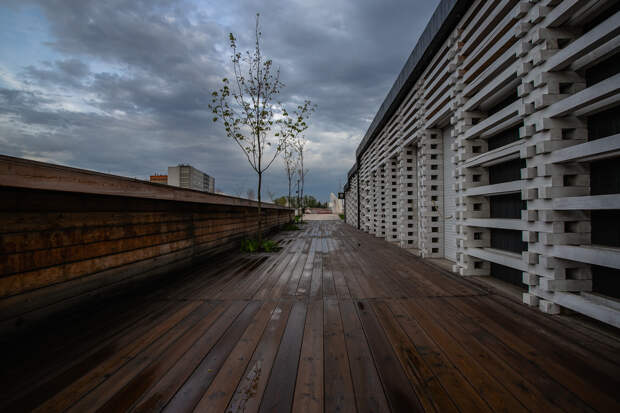 До +9 градусов и пасмурно: стало известно, какая погода будет в Туле и области 8 ноября