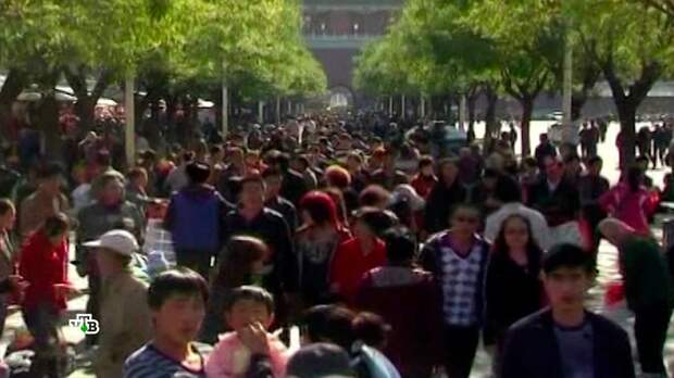 Что будет, когда население Земли достигнет 10 миллиардов