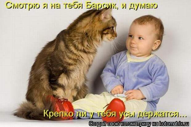 Котоматрица Котоматрица