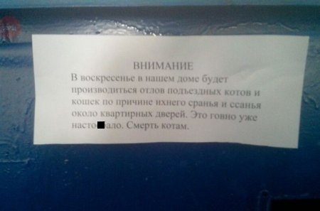 Смешная переписка между соседями