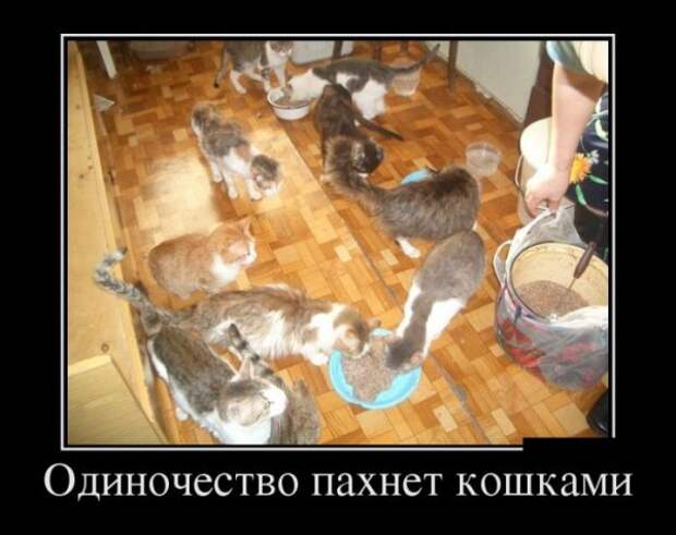 Обо всём.