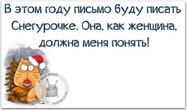 Немного новогодней «Правды жизни» (30 картинок)