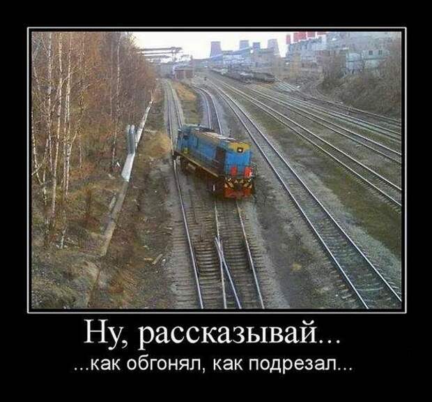 Демотиваторы (133 картинки)