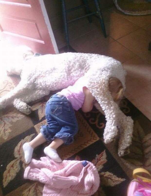 Идиотизм в картинках