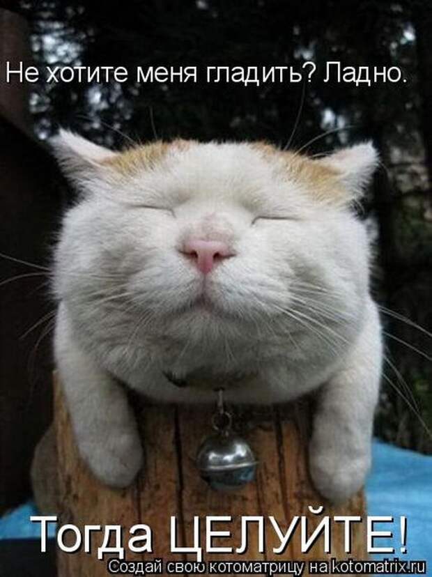 Мысли вслух :)
