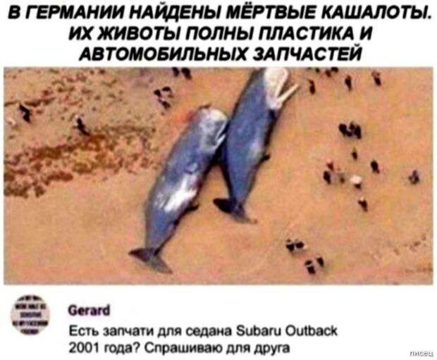 100% приколюхи, от которых болит живот