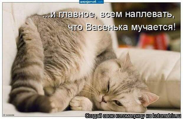 Мысли вслух :)
