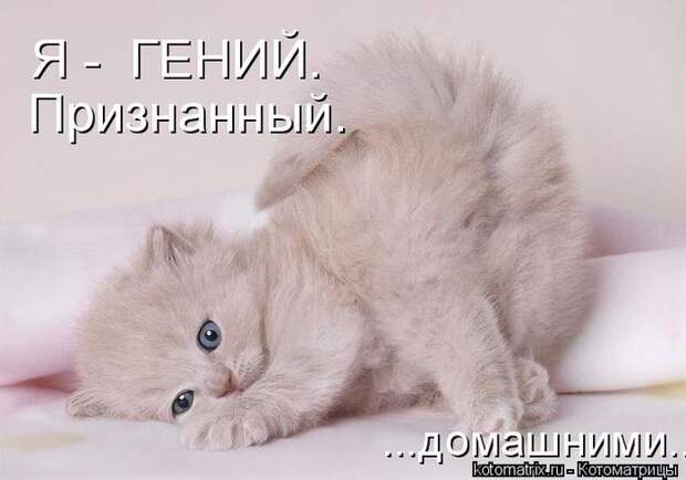 Мысли вслух :)