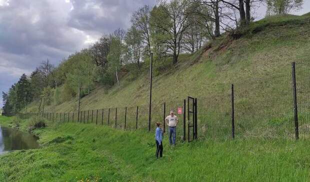 Доамнистировались... Тысячи гектаров векового леса у Одинцово отдают под застройку