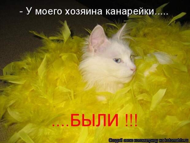 Мысли вслух :)