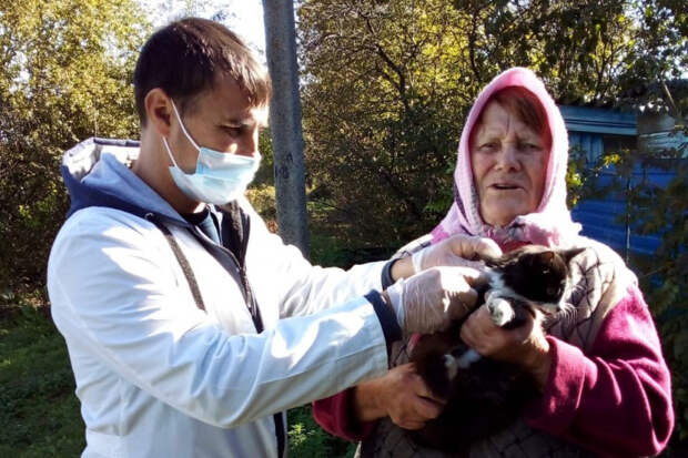 На Кубани проходит массовая вакцинация собак и кошек от бешенства